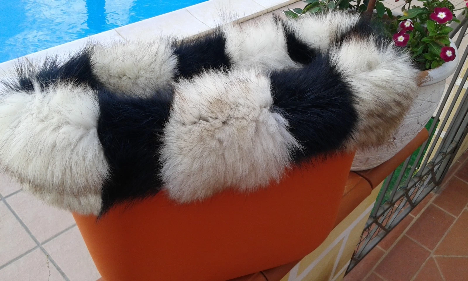 Real fox border multicolor or bag classic including charm only 39.99 and - O Bag